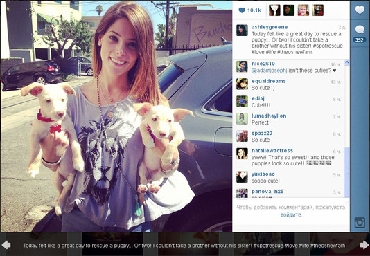 Эшли Грин взяла из приюта для бездомных животных двух щенков