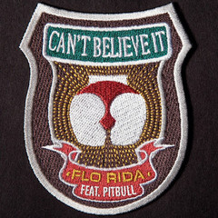 FLO RIDA FEAT. PITBULL – CAN’T BELIEVE IT