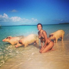 Пляжная экзотика. Ирина Шейк отдыхает со свиньями
