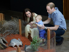 Кейт Миддлтон и принц Уильям посмотрели на редких зверей
