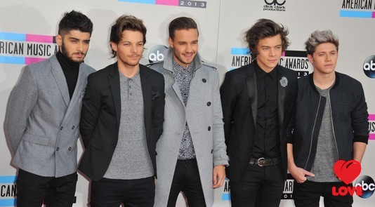 One Direction помогли поклоннику сделать предложение на концерте