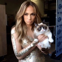 Grumpy Cat и Дженнифер Лопес Grumpy Cat и Дженнифер Лопес