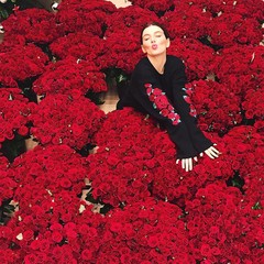 Анна Седокова и 10 000 алых роз