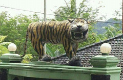 Статуя тигра стала звездой интернета