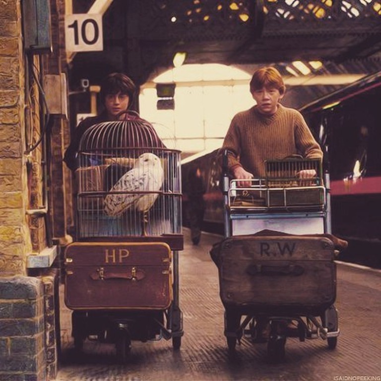 Кадры из фильма о Гарри Поттере