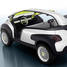 Автомобиль будущего от Citroen и Lacoste