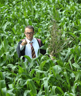 Фермер создал портрет-лабиринт Гарри Поттера на кукурузном поле