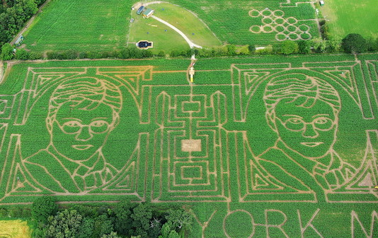 Фермер создал портрет-лабиринт Гарри Поттера на кукурузном поле