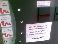 автомат по продаже червей автомат по продаже червей