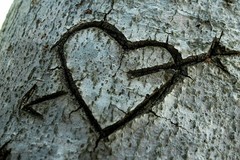 Мужчины влюбляются c первого взгляда, а женщины — с шестого Мужчины влюбляются c первого взгляда, а женщины — с шестого
