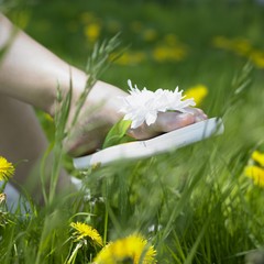 Вьетнамки и шлепанцы опасны для ног Вьетнамки и шлепанцы опасны для ног