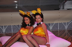 Playmate of the year 2011