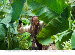 «Пираты Карибского моря: На странных берегах»