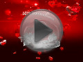 BIG LOVE SHOW под BIG LOVE SHOW под
