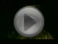 50 Cent feat. Ne-Yo - Baby By Me