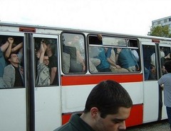 Необычные признания в любви Необычные признания в любви