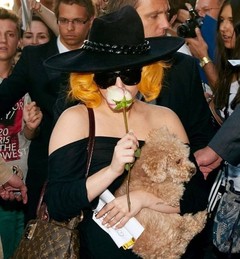 Леди Гага не расстается со своим псом Фоззи