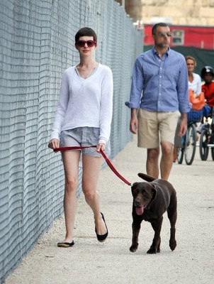 Энн Хэтэуэй предпочитает сама выгуливать свою собаку