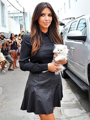 Ким Кардашиян завела котёнка