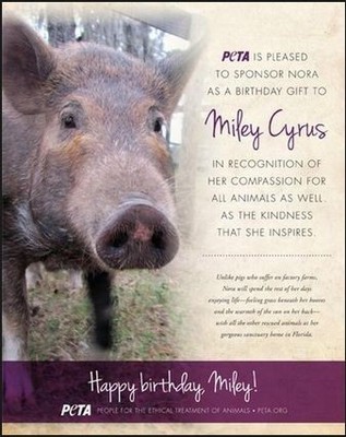 Майли Сайрус подарили свинью на День рождения 