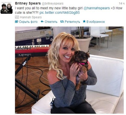 Бритни Спирс завела щенка