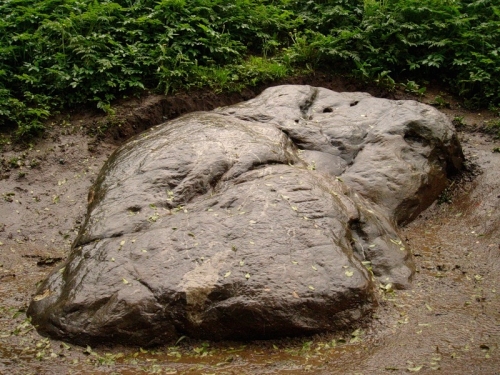 Камни в Коломенском