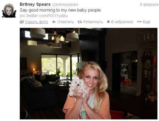 Бритни Спирс завела новую собаку