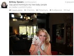 Бритни Спирс завела новую собаку