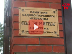Сбежавшие невесты
